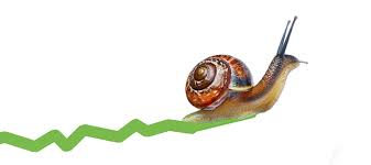 HR Personnel - Slow Hiring Growth